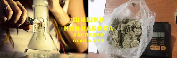 гашик Алексеевка