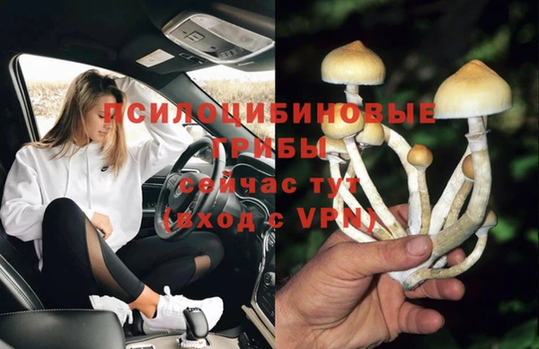 гашик Алексеевка