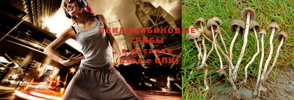 гашик Алексеевка